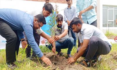 পাবিপ্রবিতে বৃক্ষরোপণ কর্মসূচি