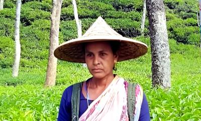 পরিশ্রমের প্রতীক জেসমিন, টানা তিনবার সেরার মুকুট