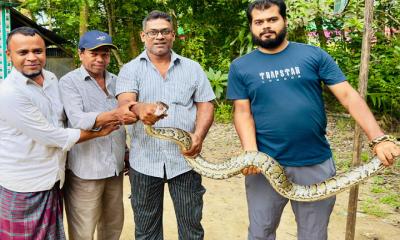 অজগর সাপ উদ্ধার