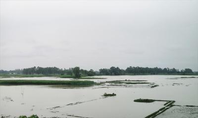 বাড়ছে দুধকুমার নদীর পানি, নিম্নাঞ্চল প্লাবিত হ‌ওয়ার আশঙ্কা
