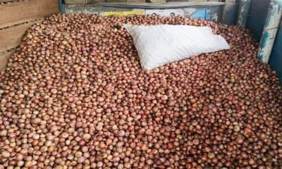 পুঠিয়ায় পেঁয়াজের বাজারে ধস, দিশেহারা কৃষক