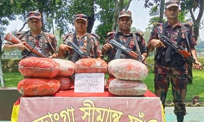 কুড়িগ্রামের ভূরুঙ্গামারীতে ৫৩ কেজি গাঁজা আটক করেছে বিজিবি