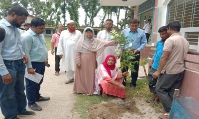 মান্দায় বৃক্ষরোপন ও বিতরণ কর্মসূচি