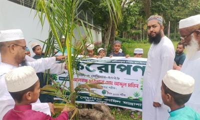 নাঙ্গুলী নেছারিয়া কামিল মাদ্রাসায় ‘বৃক্ষরোপণ’, র‍্যালি ও সেমিনার