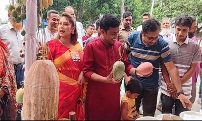 চাঁপাইনবাবগঞ্জের শিবগঞ্জে দেশীয় ফল উৎসব