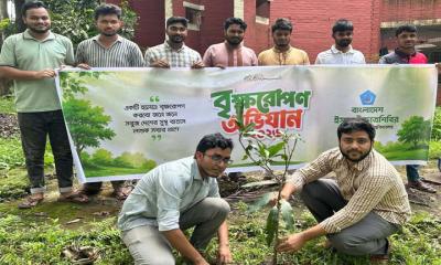 বাকৃবিতে ছাত্রশিবিরের উদ্যোগে বৃক্ষ রোপণ কর্মসূচি