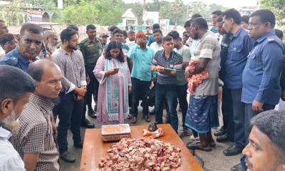 অসুস্থ গরুর মাংস বিক্রি, জরিমানা ১০ হাজার