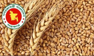 গম আমদানিতে  সরকারের অনুমোদন