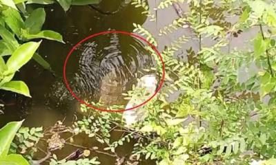 চাঁদপুরে গ্যাস লিক, জীবনের ঝুঁকি নিয়ে ছুটছে পথচারী-শিক্ষার্থীরা