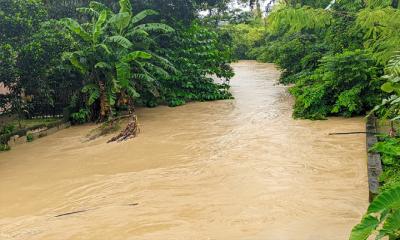 টানা বৃষ্টিতে বাড়ছে নদীর পানি, আকস্মিক বন্যার শঙ্কা