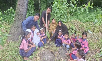 ধামসর সরকারি প্রাথমিক বিদ্যালয়ে বৃক্ষরোপণ