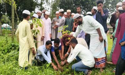 নালিতাবাড়ীতে  ব্যতিক্রমী বৃক্ষরোপণ উদ্যোগ