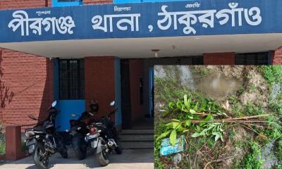 পীরগঞ্জে বন বিভাগের চারা কেটে দখলচেষ্টা,  মামলা