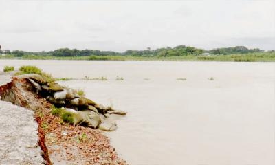 মাদারীপুরে পদ্মা-আড়িয়াল খাঁয় উত্তাল স্রোত: ভিটেমাটি হারানোর শঙ্কা