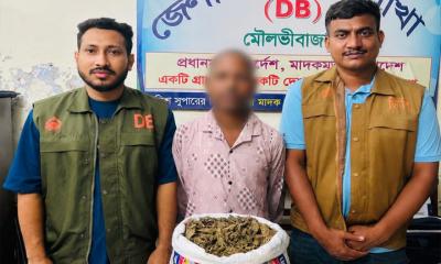 মৌলভীবাজারে গাঁজাসহ মাদক কারবারি গ্রেফতার