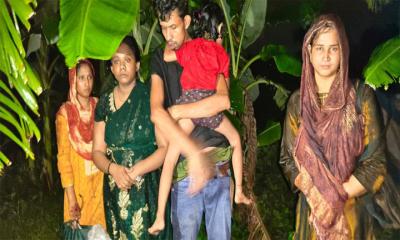 দর্শনা সীমান্তে বিএসএফের পুশইন চেষ্টা প্রতিহত বিজিবির
