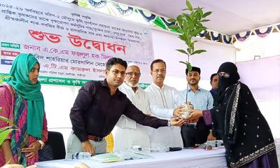 কৃষি প্রণোদনা বিতরণ