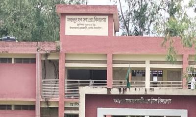 ধনবাড়ীতে বিদ্যালয়ের রাস্তা না থাকায় দুর্ভোগে শিক্ষার্থীরা