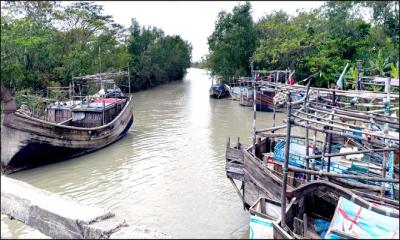 ইলিশের দেখা মিলছেনা মেঘনা ও তেঁতুলিয়ায়
