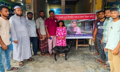 রানীসংকৈলে অসহায় এতিম কিশোরীদের মাঝে মা-ছাগল বিতরণ