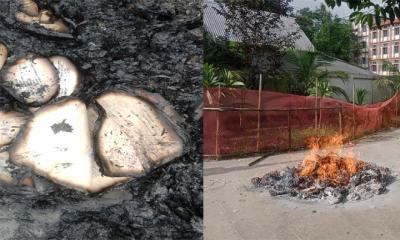 পুরাতন ১০৩৪ টি দলিল সরকারি বিধি মোতাবেক ধ্বংস