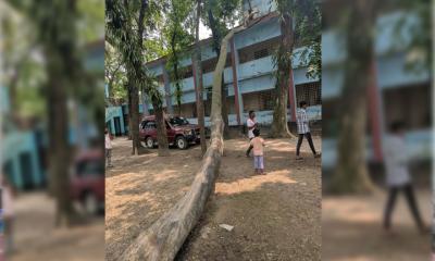 অষ্টগ্রামে পরিবেশ উন্নয়নে ইউএনও’র মহৎ উদ্যোগ