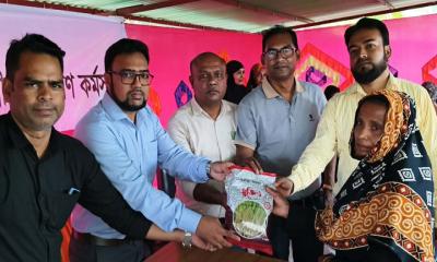 বাউফলে কৃষকদের মাঝে বীজ বিতরণ