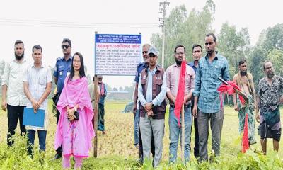 সরিষাবাড়ীতে মানি লন্ডারিং অভিযোগে জমি জব্দ