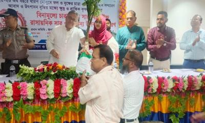 চরভদ্রাসনে কৃষি প্রণোদনা ও বৃক্ষরোপণ কর্মসূচি