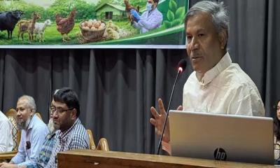 প্রাণিসম্পদ খাতের উন্নয়নে সরকারের সুদূরপ্রসারী পরিকল্পনা: কেনেডি