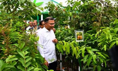 উন্নয়নের প্রতিটি পরিকল্পনায় জলবায়ুকে গুরুত্ব দিতে হবে: প্রধানমন্ত্রী