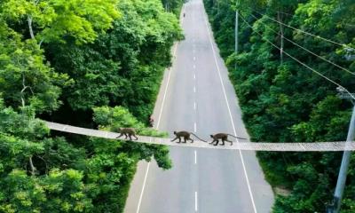 মহাসড়ক পারাপারের জন্য  রোপওয়ে