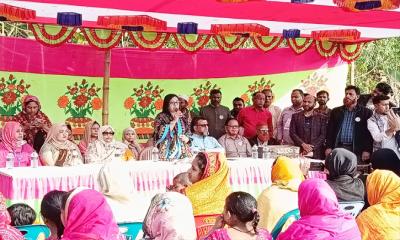 উন্নয়ন নিশ্চিত করতে ধানের শীষে ভোট দিন: বিএনপি প্রার্থীর স্ত্রী