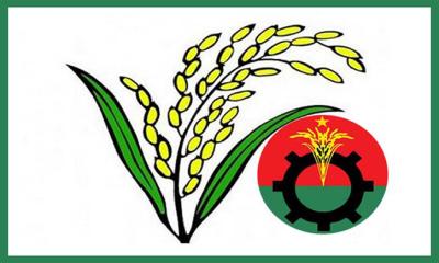 ধানের শীষের বিপক্ষে জেলা বিএনপি সভাপতি শরিফুল!