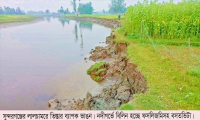 সুন্দরগঞ্জে তিস্তায় বিলীন হচ্ছে ফসলি জমি ও বসতভিটা