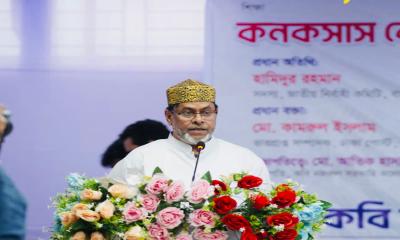বিএনপি ক্ষমতায় গেলে গণমাধ্যমের স্বাধীনতা নিশ্চিত করা হবে: হামিদুর রহমান