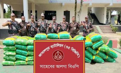 জামালপুরে বিজিবির অভিযানে ১৯১ বোতল ভারতীয় মদ ও ১,২৬০ কেজি জিরা উদ্ধার