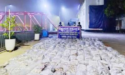 সোনারগাঁয়ে ১০ হাজার কেজি জাটকা ইলিশ উদ্ধার