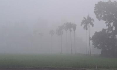 তেঁতুলিয়ায় কনকনে শীত ও ঘন কুয়াশায় নাকাল জনজীবন