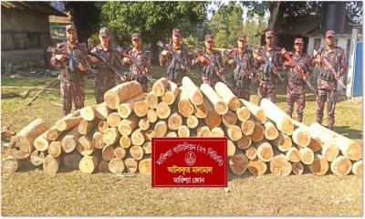 লাখ টাকার কাঠ জব্দ