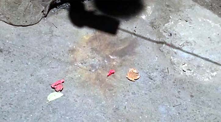 ফ্যাসিবাদের প্রামাণ্যচিত্র প্রদর্শনকালে টিএসসিতে দুই ককটেল বিস্ফোরণ