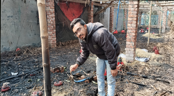 পুড়ে ছাই কলেজ ছাত্রের মূরগীর ফার্ম