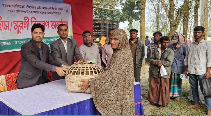 প্রাণিসম্পদ অধিদপ্তরের হাঁস বিতরণ