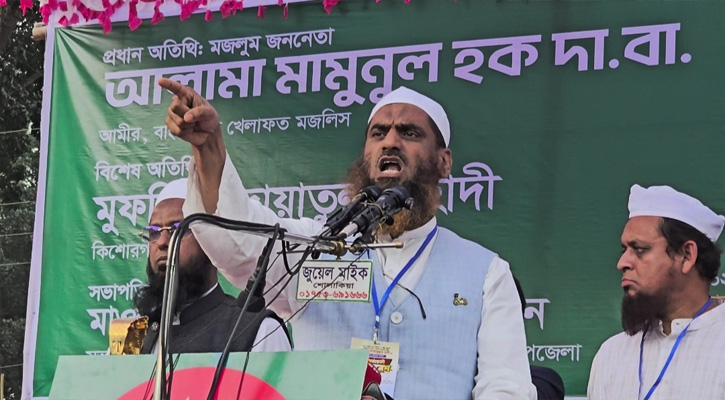 ব্যালট বিপ্লবের মাধ্যমে সন্ত্রাস ও দুর্নীতি বিদায় : মামুনুল হক