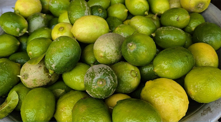 ভালুকায় অস্বাভাবিক লেবুর দাম