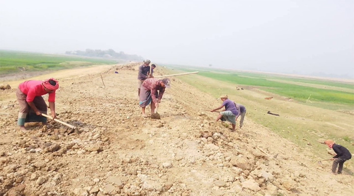 শান্তিগঞ্জের হাওর রক্ষা বাধে বিল নিয়ে বিপাকে পি আইসিরা