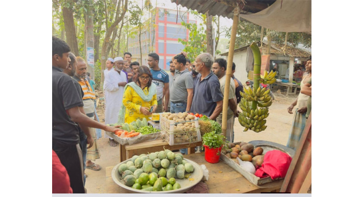 বোয়ালখালীতে পৃথক অভিযানে মাদকসহ বাজার মনিটরিং ও জরিমানা