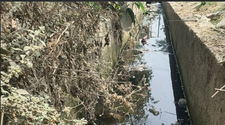 গোদাগাড়ী পৌর এলাকায় ডেঙ্গুসহ বিভিন্ন মশাবাহিত রোগের ঝুঁকি