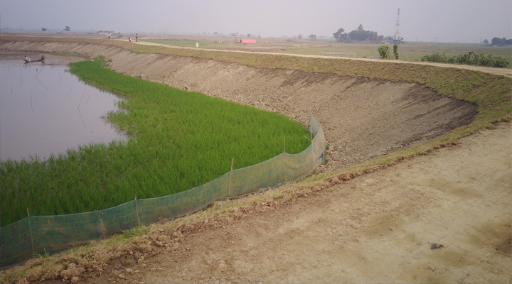 হাওর রক্ষা বাঁধ নির্মাণে বিপর্যয়ের শঙ্কা  প্রাকৃতিক হুমকির মুখে হাওরবাসী