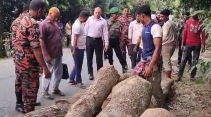 সড়কের পাশে গাছ-ইট-বালু রাখায় সতর্ক করলেন ইউএনও